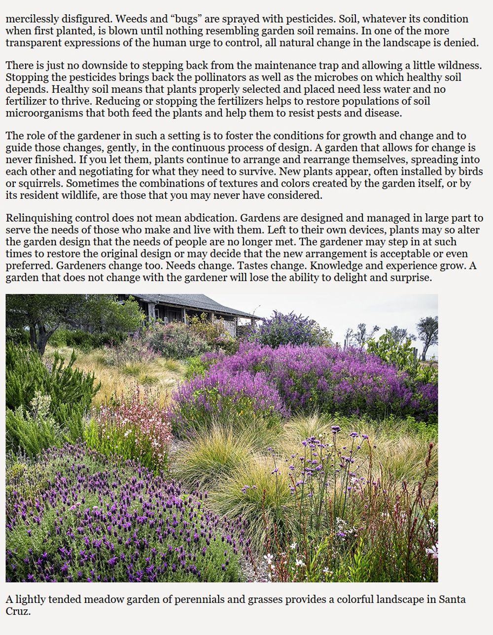 Gardening in Summer-Dry Climates