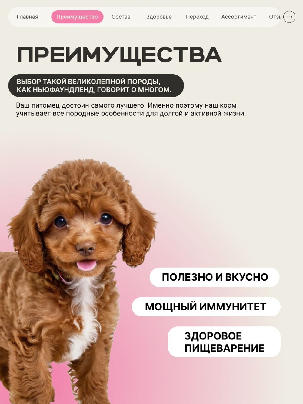 Корм сухой для щенков породы Той-пудель, с говядиной, 800 гр, QUATTRO
