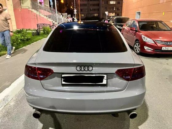 Пленка PET серая глянцевая Nardo Grey Carbins