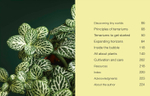 Hello Tiny World: An Enchanting Journey into the World of Creating Terrariums