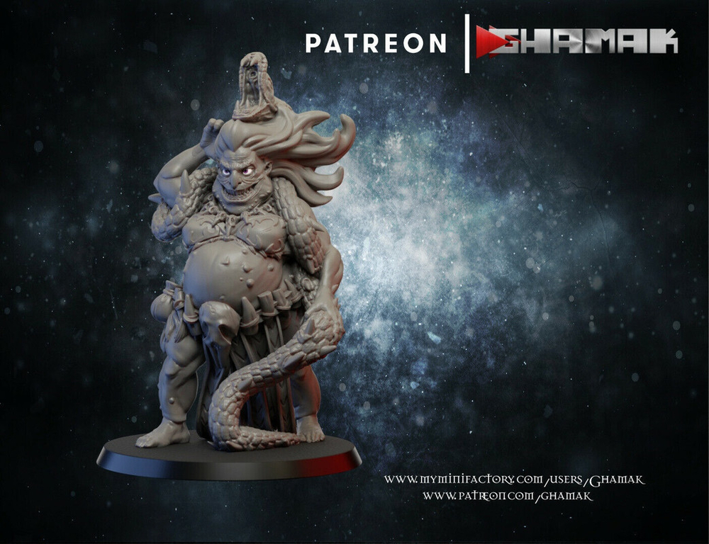 Grand Alliance Chaos Everchosen and Slaves to Darkness Болотная ведьма миниатюра для dnd, днд, pathfinder, фентези, Настольная игра, НРИ, Варгейм, РПГ