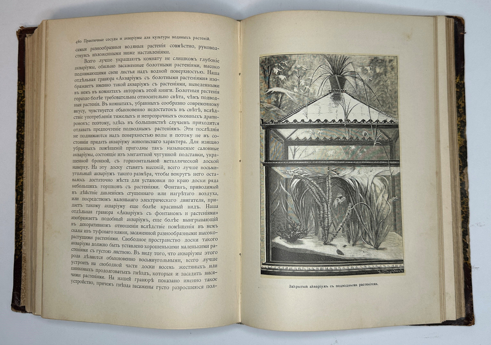 Гесдерфер М. Комнатное садоводство. СПб. Изд. Девриена, 1898г.
