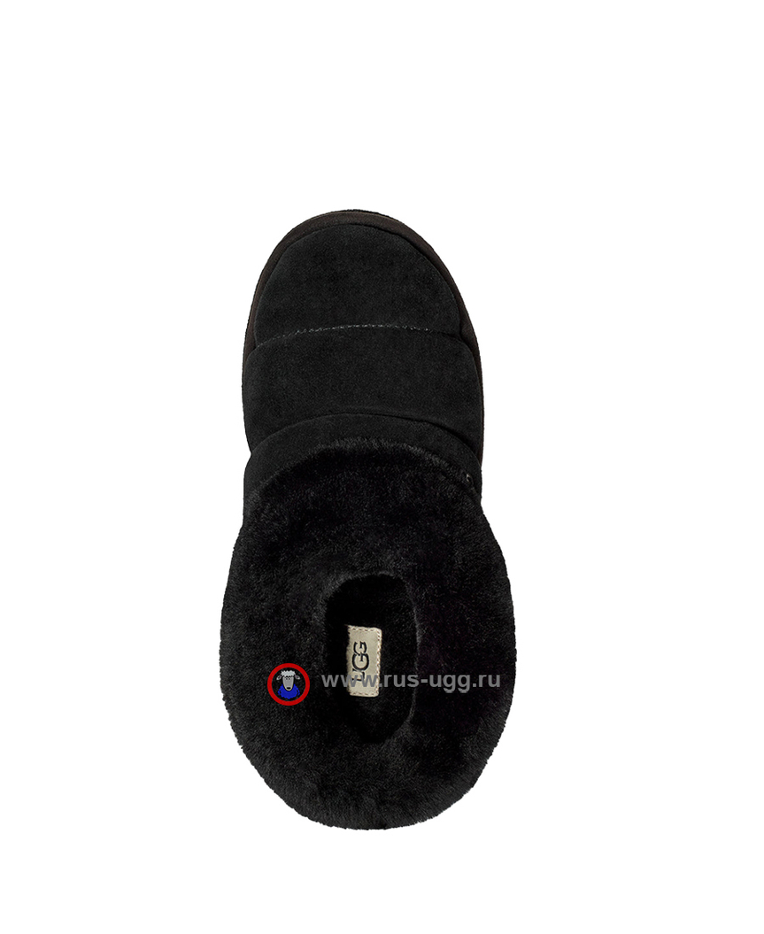 TAZZLITA Black