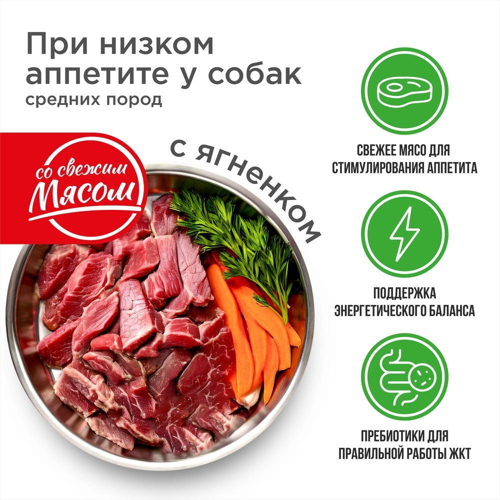 Корм сухой для взрослых собак средних пород, премиум полнорационный комплекс, для собак с низким аппетитом, с ягненком, 12 кг, QUATTRO