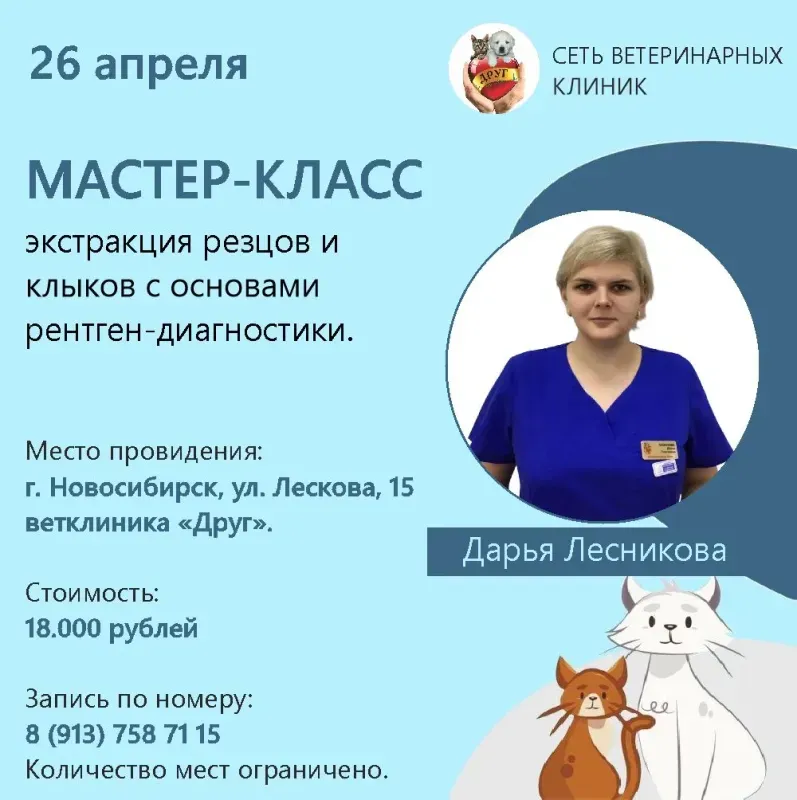 Обучение
