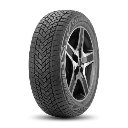 Зимняя шина Armstrong Ski-Trac PC (205/55 R16 91H)