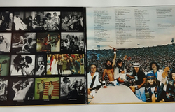Винтажная виниловая пластинка LP Lynyrd Skynyrd First And Last (Germany 1984)