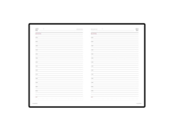 Подарочный набор Parker: ежедневник, ручка перьевая Parker IM Premium Warm Silver Grey GT, цвет чернил синий