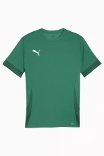Футболка Puma teamGOAL Matchday