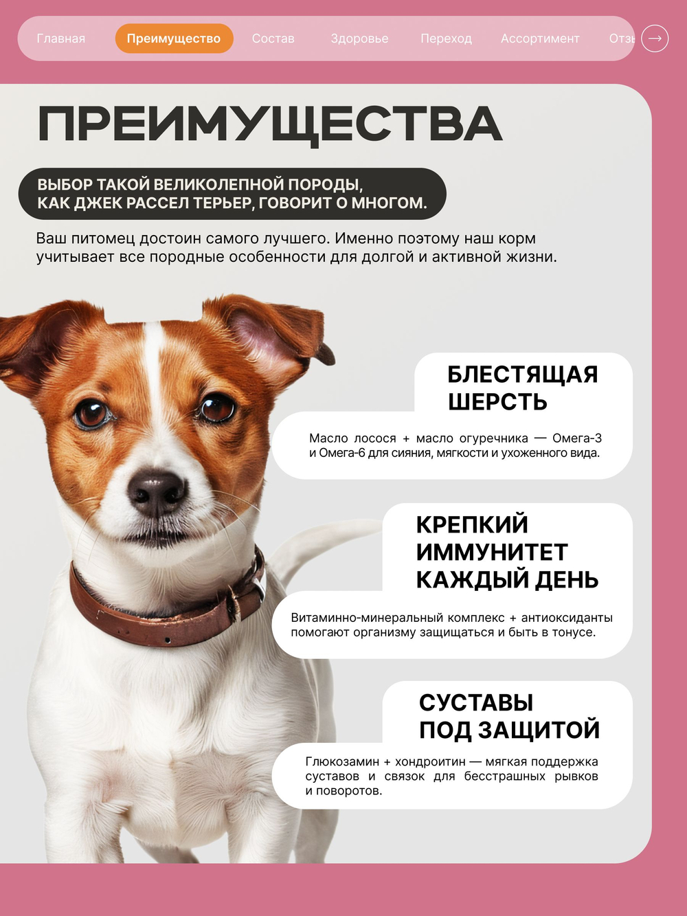 Корм сухой для взрослых собак породы Джек Рассел Терьер, с индейкой, 12 кг, QUATTRO
