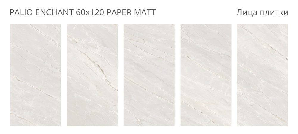 PALIO ENCHANT 60x120 PAPER MATT