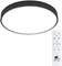 Потолочный светильник Arena A2672PL-1BK Arte Lamp