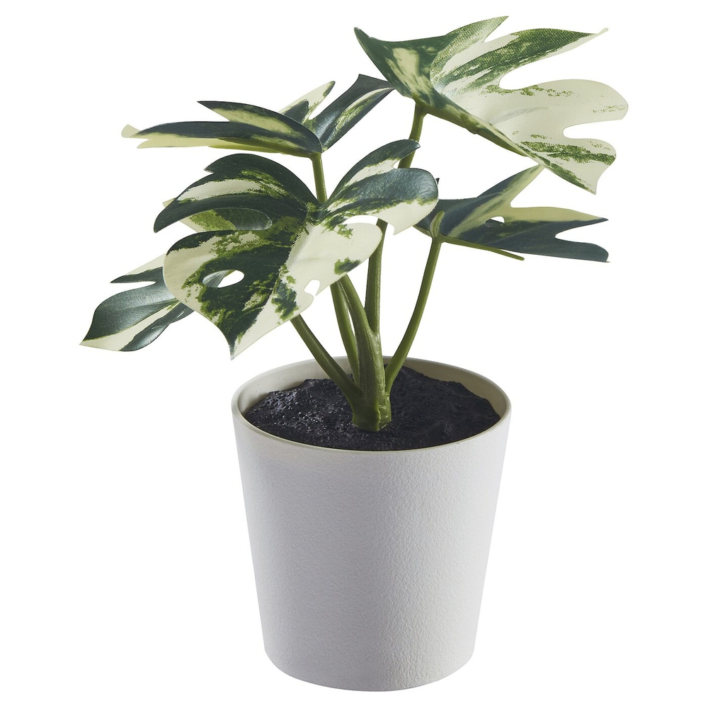 FEJKA Искусственное растение в горшке, комнатное/открытое Monstera, 6 см