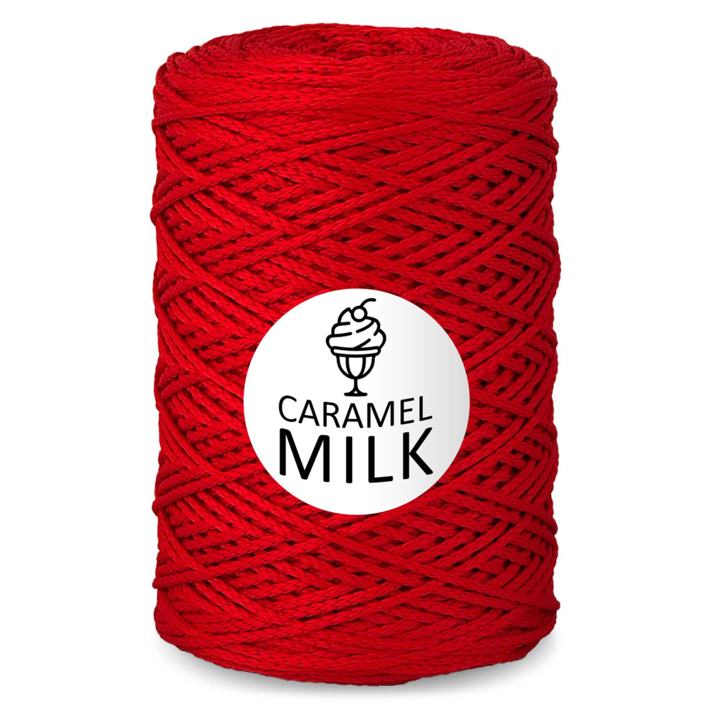 Шнур Caramel Milk, 3мм, 300м, 100% полиэфир (1 шт.)
