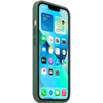 Силиконовый чехол с поддержкой MagSafe Apple Silicone Case для iPhone 13, Eucalyptus (Эвкалипт)