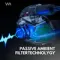 Westone AM Pro X10 Transparent
