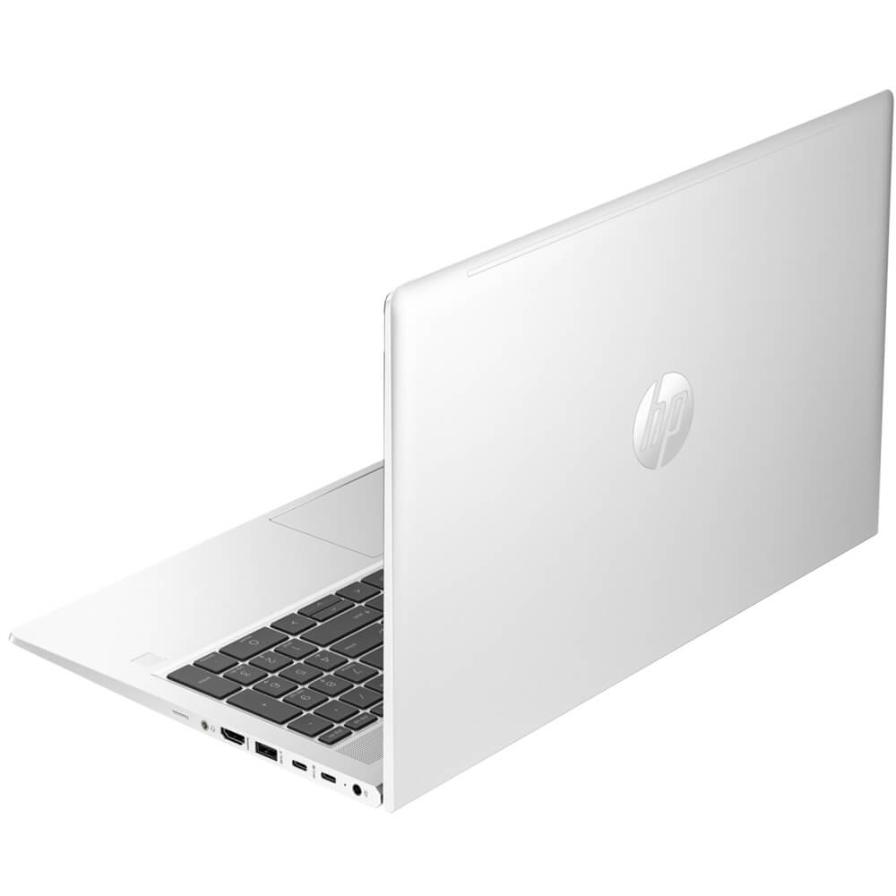 Ноутбук HP ProBook 450 G10 (9E8L8PT)