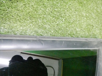 DSCN9197.jpg