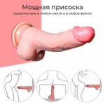 Реалистичный фаллоимитатор DryWell (21,5×4,1 см) на присоске
