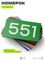 Номер на дверь 551, табличка на дверь для офиса, квартиры, кабинета, аудитории, склада, зеленая 120х70 мм, Айдентика Технолоджи