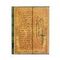Embellished Manuscripts / Verdi, Carteggio / Ultra /