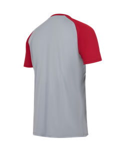 Футболка тренировочная Jögel PREMIER PerFormDRY Spartak Training Tee, серый/темно-красный