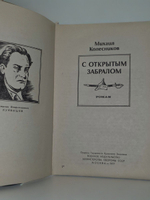 Михаил Колесников. С открытым забралом