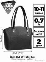 RION+ 6072BGE — инфографика