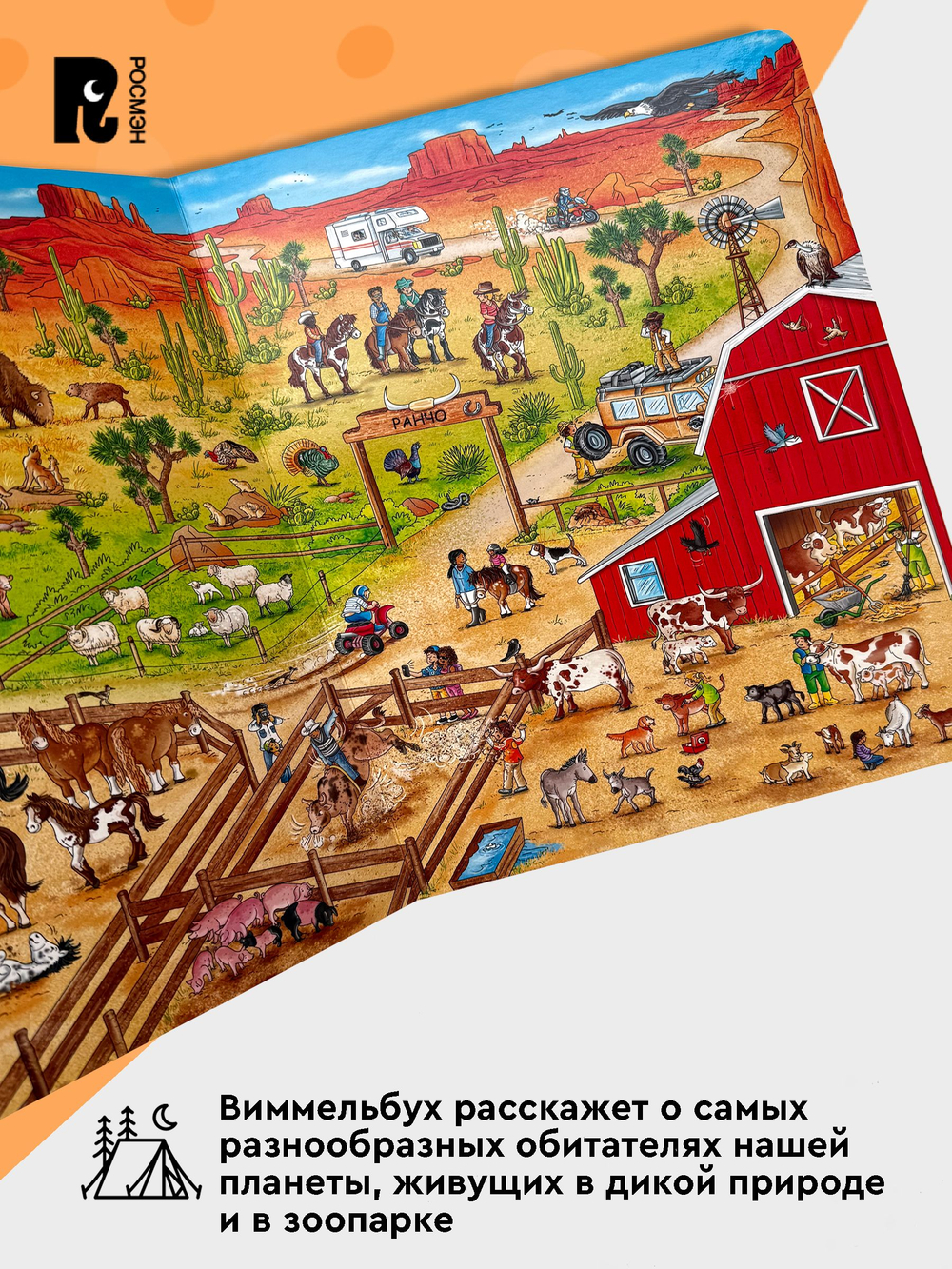 Жизнь животных. Виммельбух (нов.)
