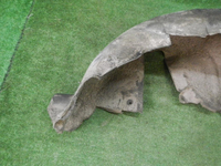 DSCN2590.JPG