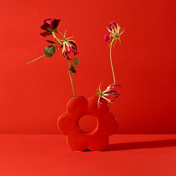 Ваза для цветов daisy, 20 см, красная
