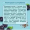 Каша молочная ФрутоНяня гречневая чернослив 190г