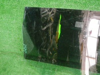 DSCN5703.JPG