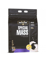 Special Mass