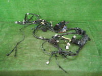 DSCN1355.JPG