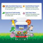 NaturesPlus, MagKidz®, Animal Parade®, жевательный магний для детей, вишня, 90 таблеток в форме животных (50 мг в 1 таблетке)