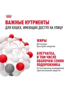 Fit 32 Корм для кошек c умеренной активностью 2кг
