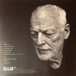 David Gilmour ‎– Luck And Strange (Европа 2024г.) Blue