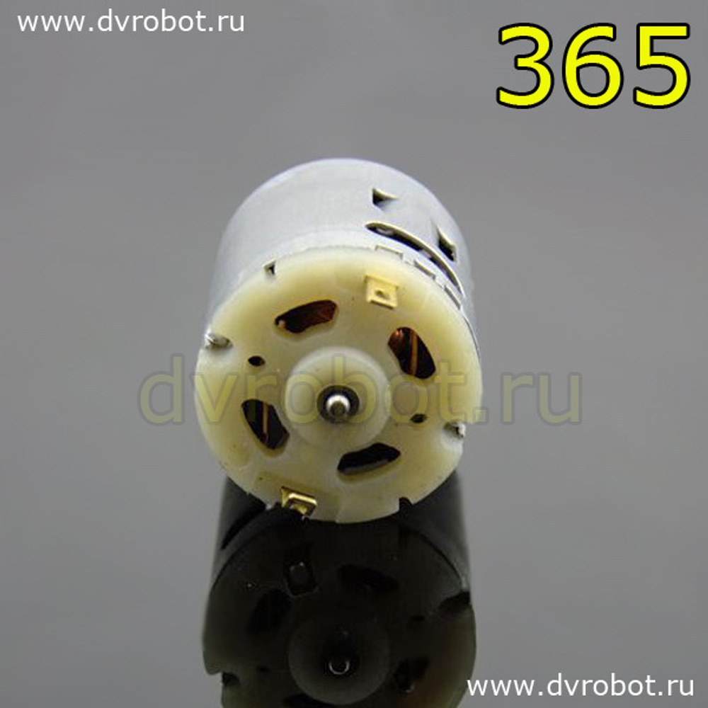 Мотор - 365
