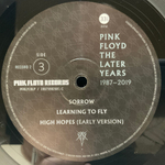 Pink Floyd / The Later Years 1987-2019 (2LP)