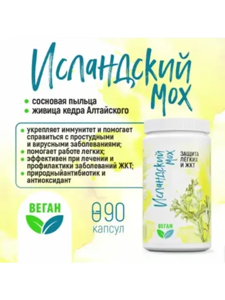 Исландский мох от кашля для иммунитета