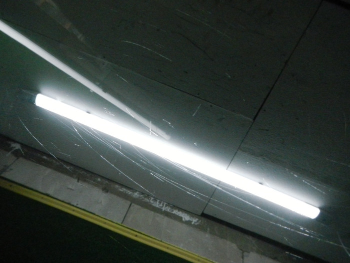 DSCN5662.JPG
