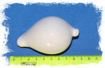 Ovula ovum размер