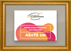Рамка 45x75 для постера и фотографий