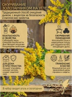 Золотарник солнечный сушеный