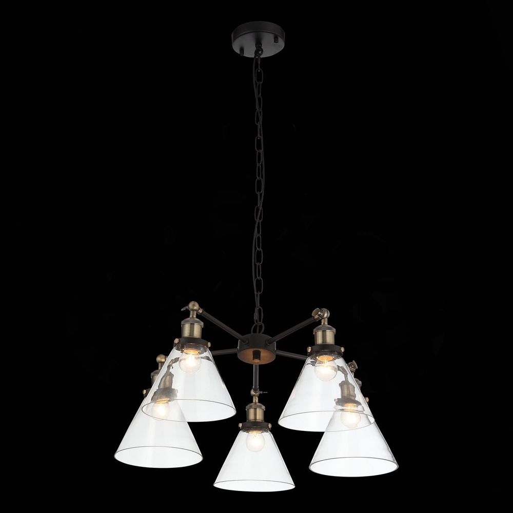 Люстра подвесная ST Luce Evoluto SL237.413.05