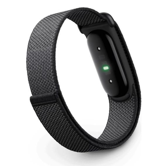 Фитнес-браслет Google Fitbit Air