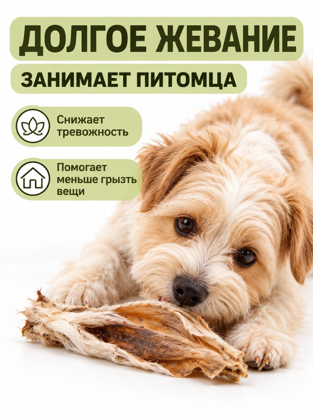 Кроличьи уши без щеки сушеные для собак БонХруст, 10шт