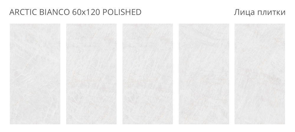 Staro Palacio Arctic Bianco Polished 60x120