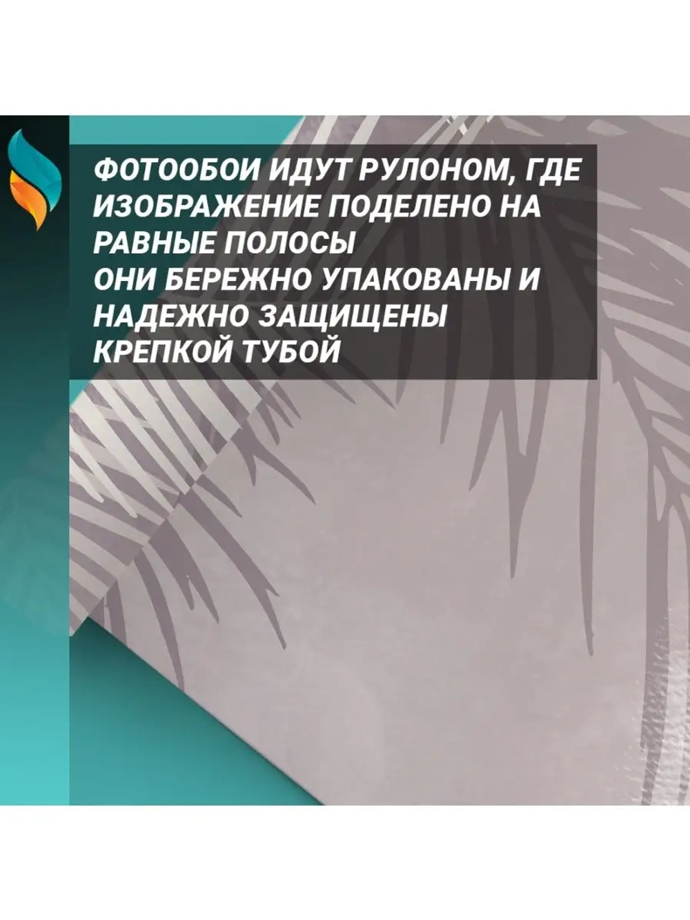 Фотообои на стену Пальмовые листья 200х270см